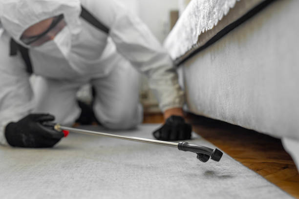 Professional Bed Bug Control technician working in Taos County County, NM